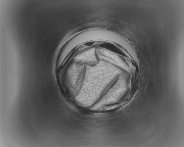 X0000111940150200908171304