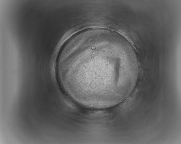 X0000111940151200908171304