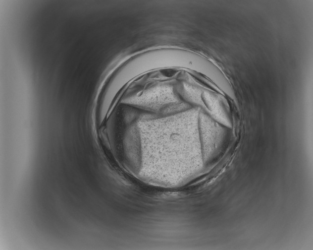 X0000111940152200908171304