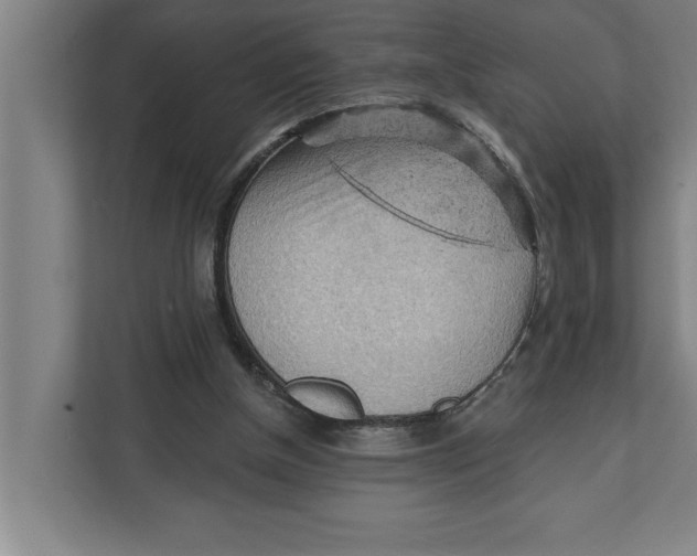 X0000111940154200908171304