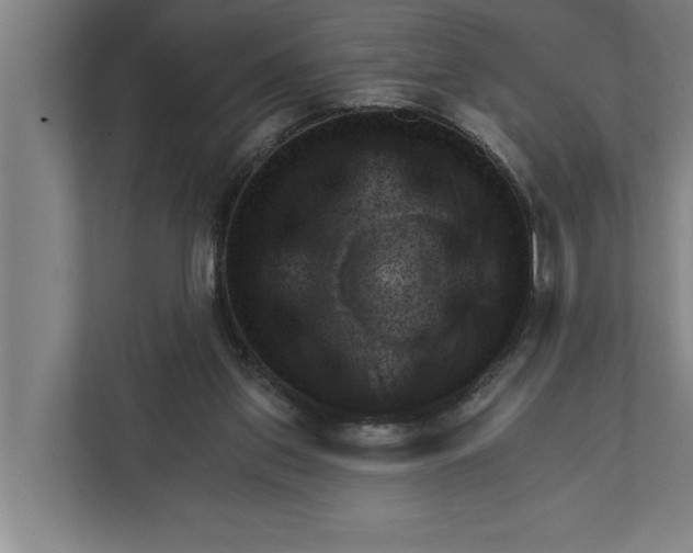 X0000111940157200908171304