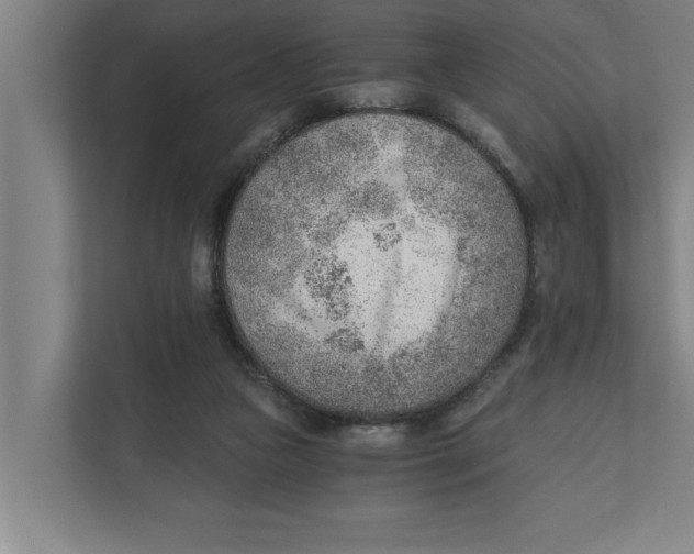 X0000111940161200908171304