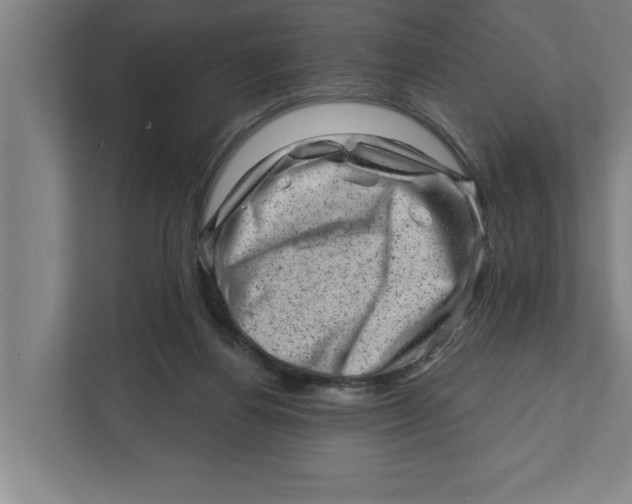 X0000111940164200908171304