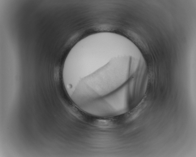 X0000111940167200908171304