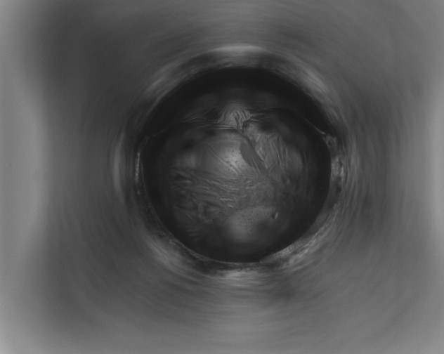 X0000111940168200908171305