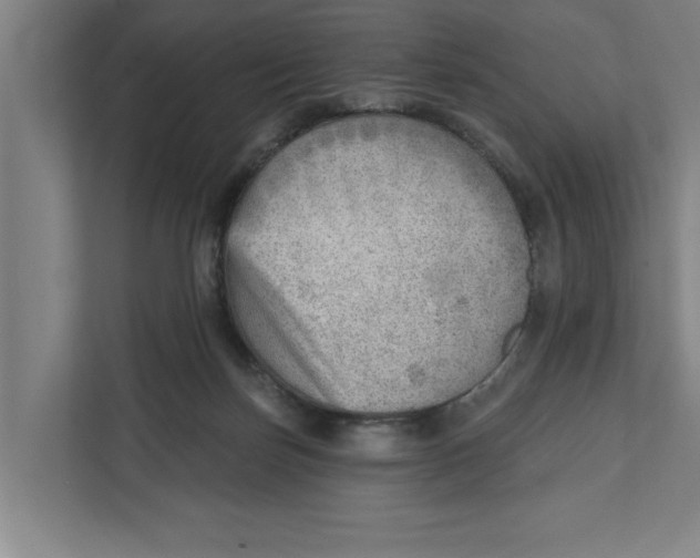 X0000111940171200908171305