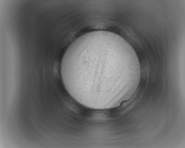 X0000111940175200908171305