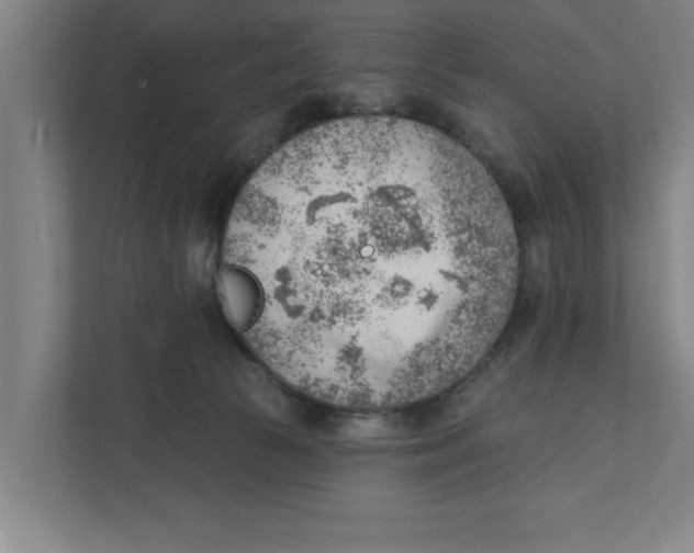 X0000111940177200908171305