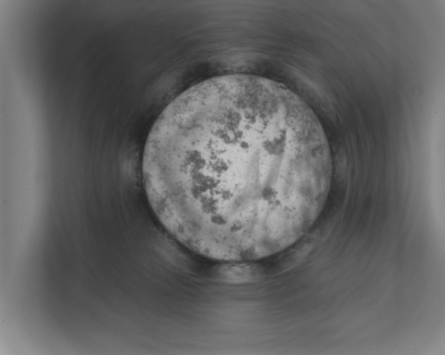 X0000111940181200908171305