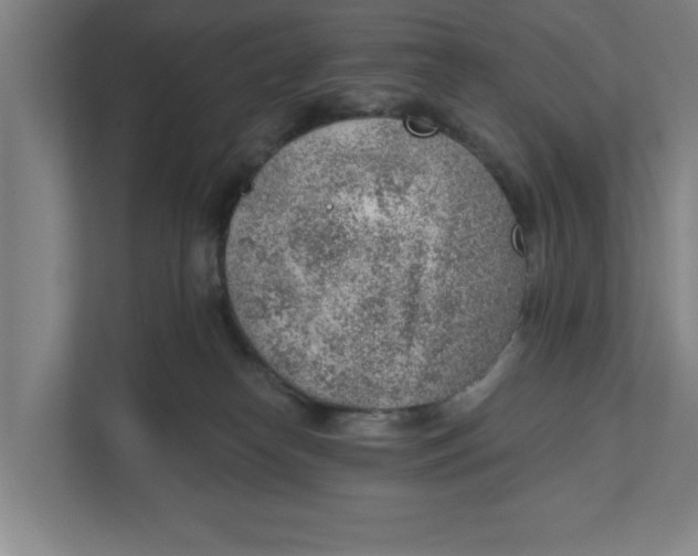 X0000111940182200908171305