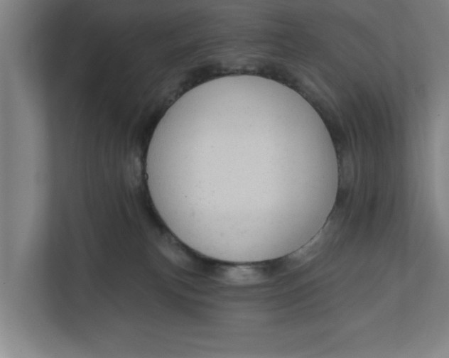 X0000111940183200908171305