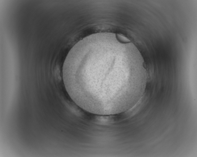 X0000111940187200908171305