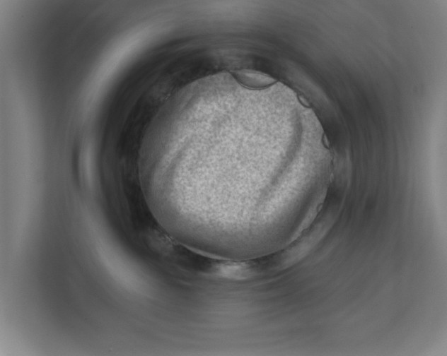 X0000111940189200908171305