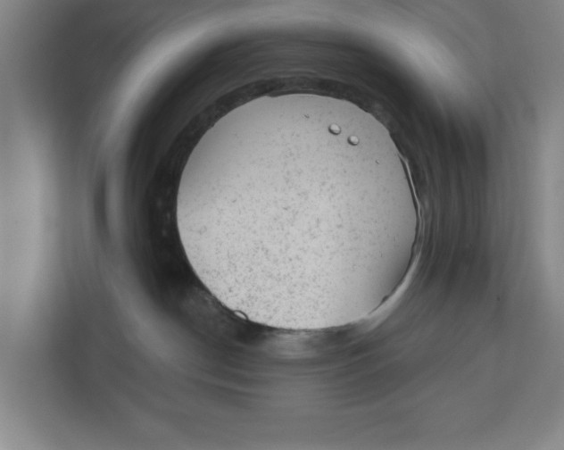 X0000111940190200908171305