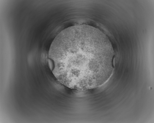 X0000111940191200908171305