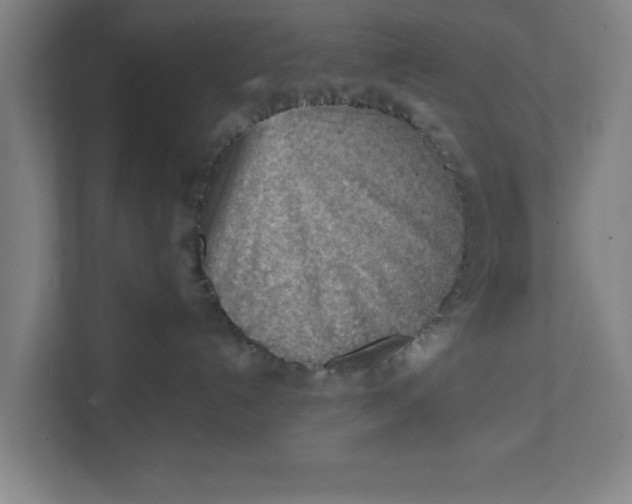 X0000111940192200908171305