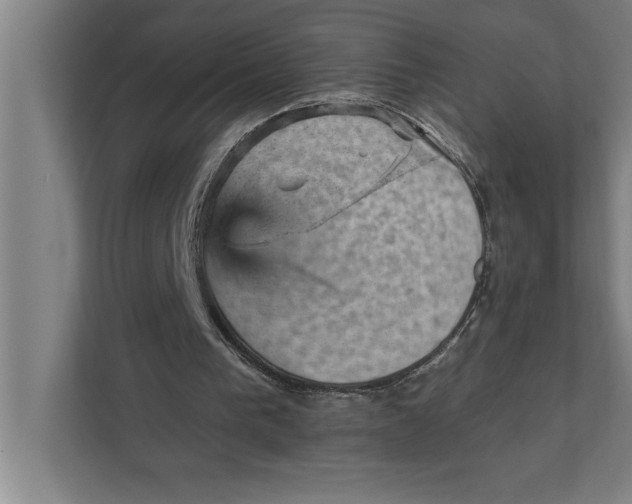 X0000111940193200908171304