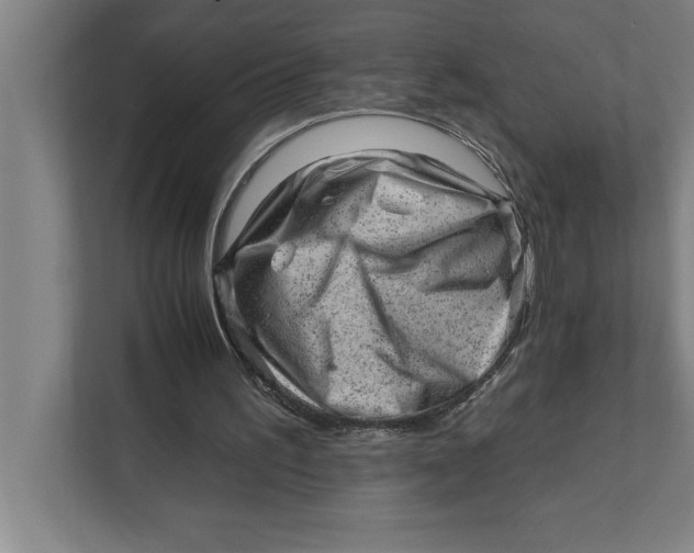 X0000111940195200908171304