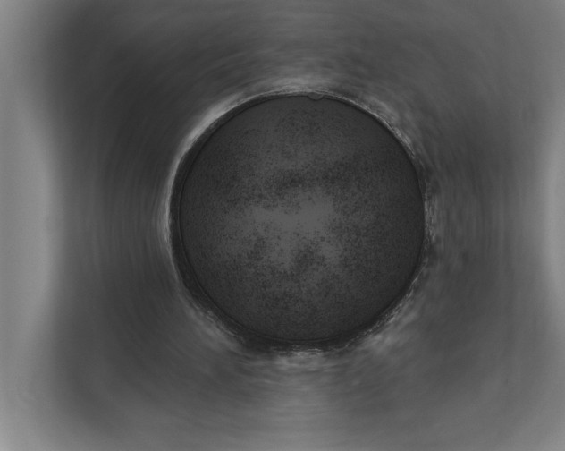 X0000111940196200908171304