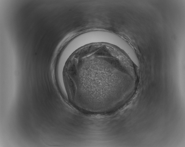 X0000111940197200908171304