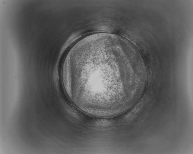 X0000111940198200908171304