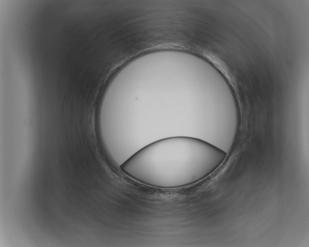 X0000111940201200908171304