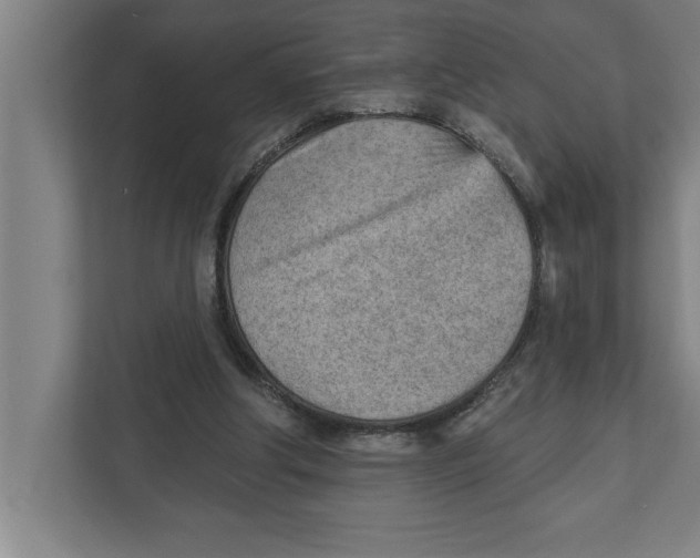 X0000111940202200908171304