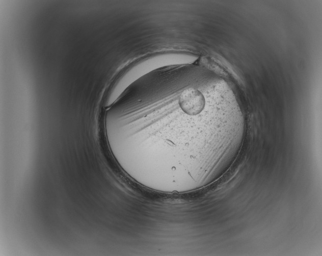 X0000111940203200908171304