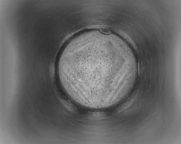 X0000111940204200908171304