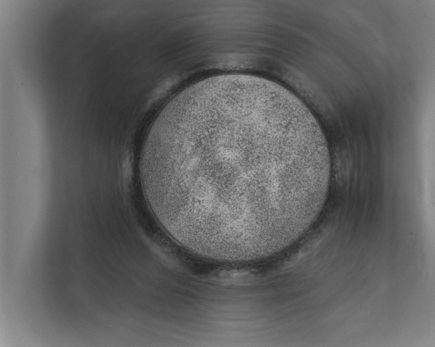 X0000111940208200908171304