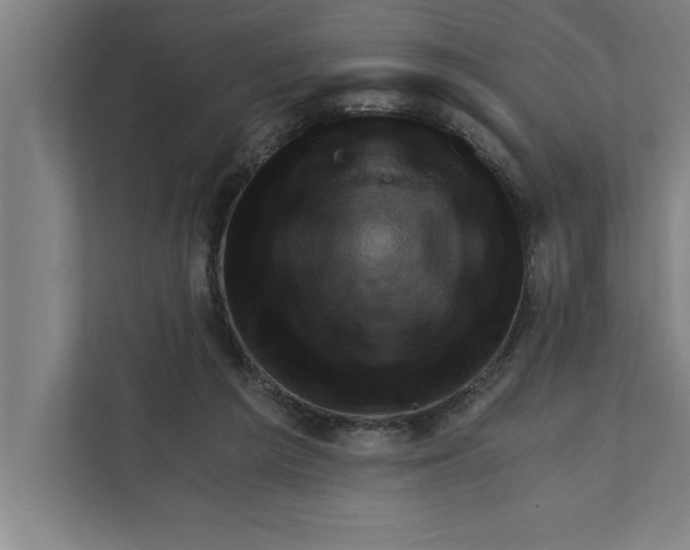 X0000111940209200908171304