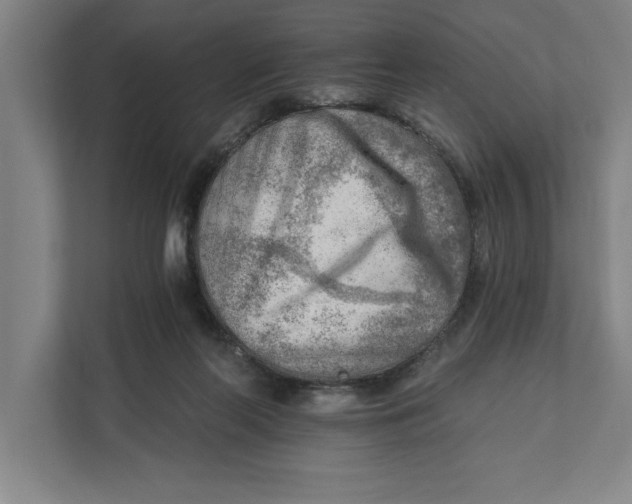 X0000111940214200908171304