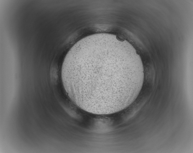 X0000111940215200908171304