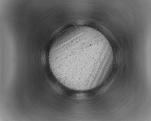 X0000111940216200908171304