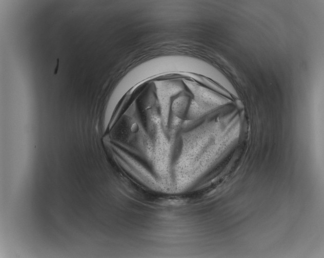 X0000111940217200908171304