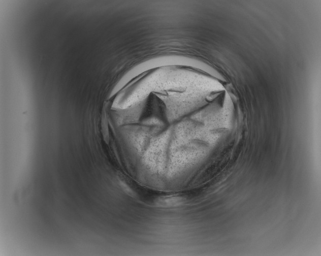 X0000111940219200908171304