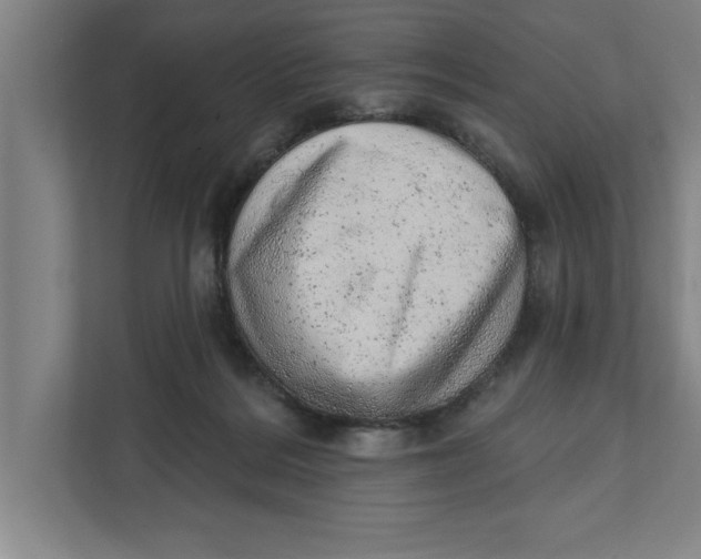 X0000111940220200908171304