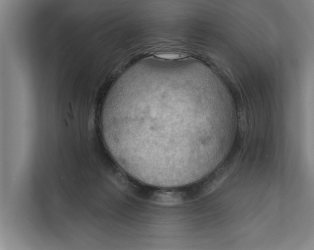 X0000111940221200908171304