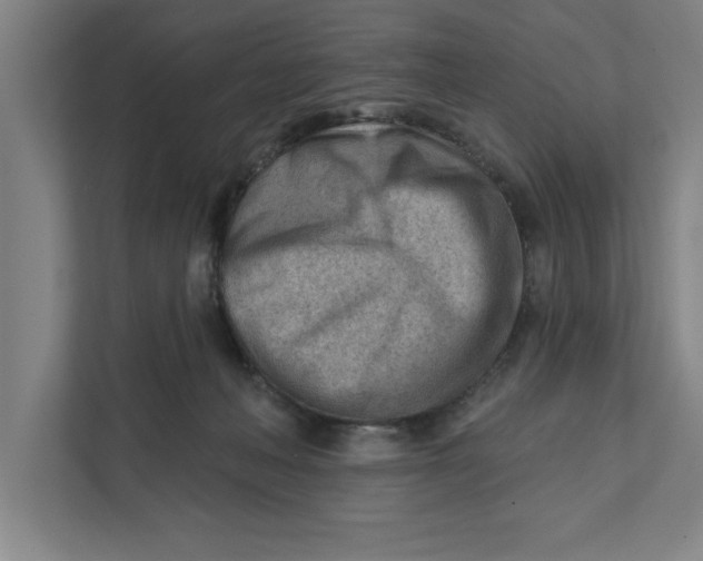 X0000111940222200908171304