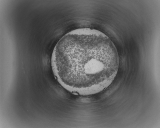 X0000111940228200908171304