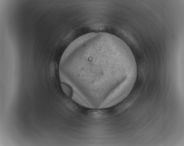 X0000111940229200908171304