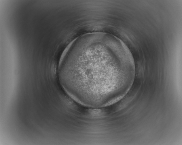 X0000111940230200908171304