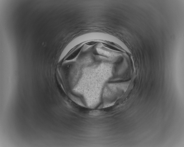 X0000111940231200908171304