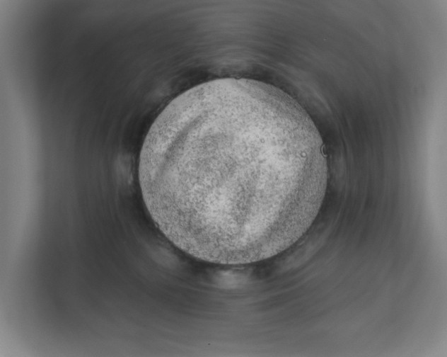 X0000111940232200908171304