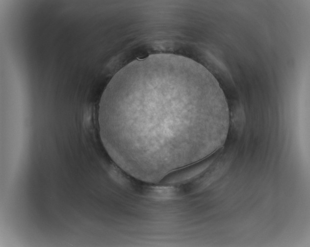 X0000111940233200908171304