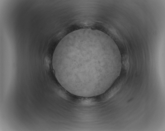 X0000111940235200908171304