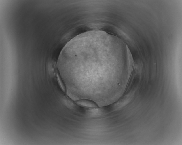 X0000111940237200908171304