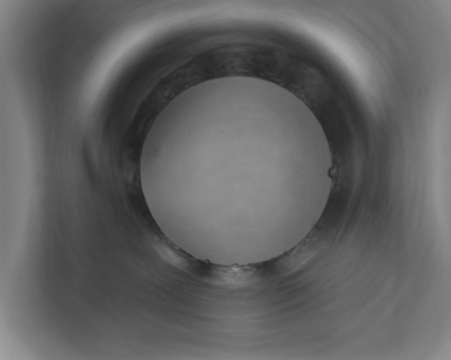 X0000111940239200908171304