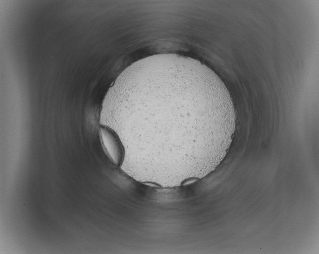 X0000111940240200908171304