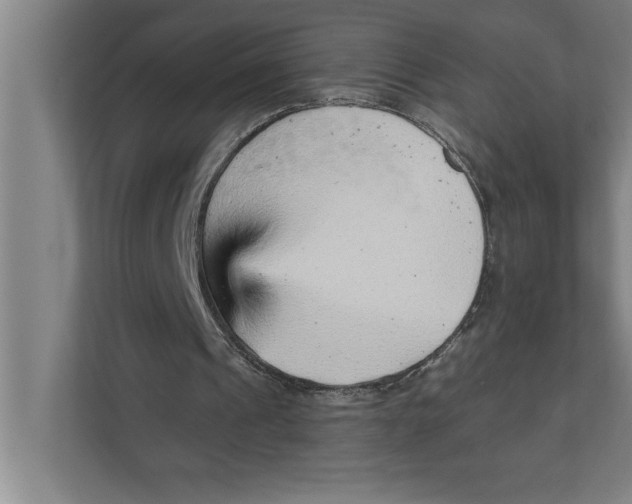 X0000111940241200908171303